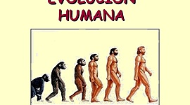 Timeline: Evolución humana
