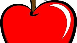 Timeline: Katelyn's Journey