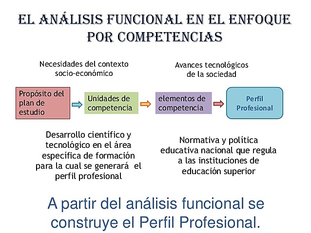 ANÁLISIS DE LOS CURRÍCULA PROFESIONAL