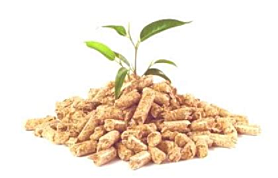 Quan van treura la biomasa