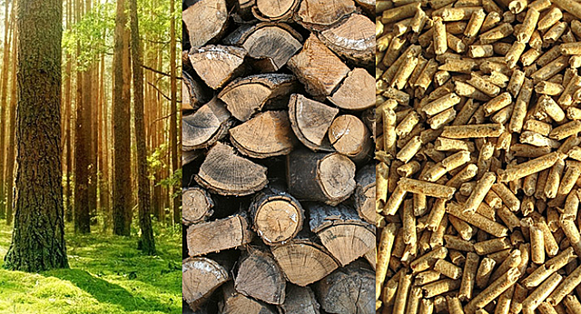 Epoca de perfeccionar