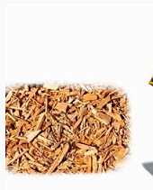 biomasa epoc de mejoras