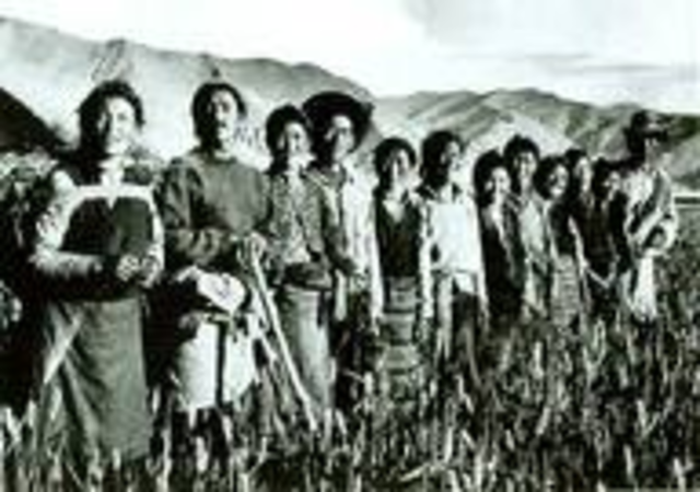 Emancipation of the serfs