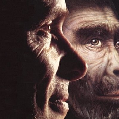 Timeline: La Evolución