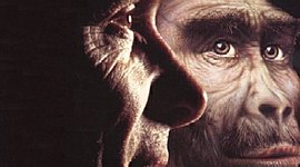 Timeline: La Evolución