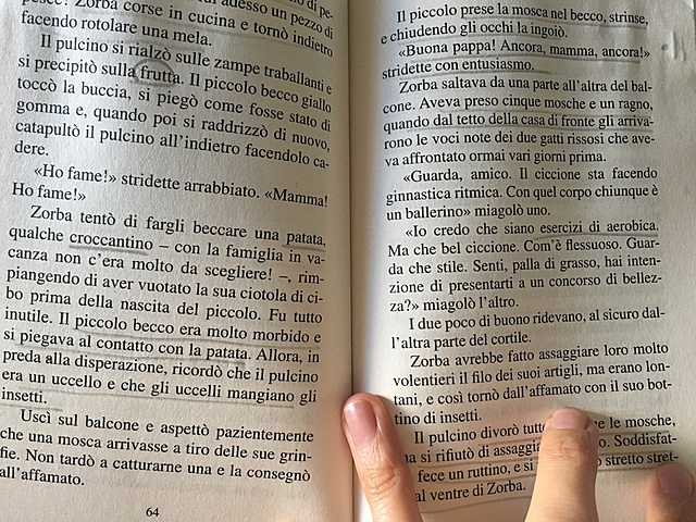 Lettura la Gabbianella e il Gatto che le insegnò a volare