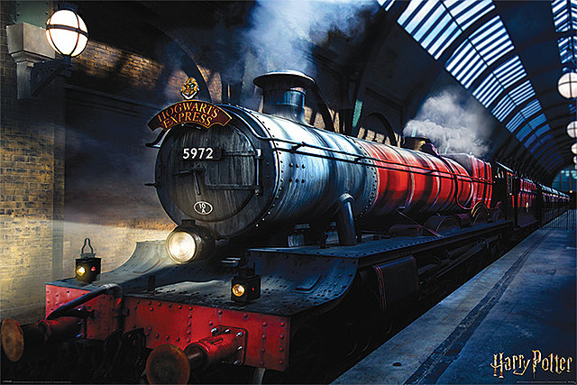 Harry meets Ron and Hermoine on the Hogwarts express