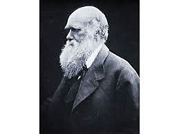 CHARLES DARWIN