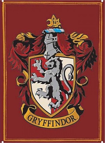 Harry is sorted into the Gryffindor