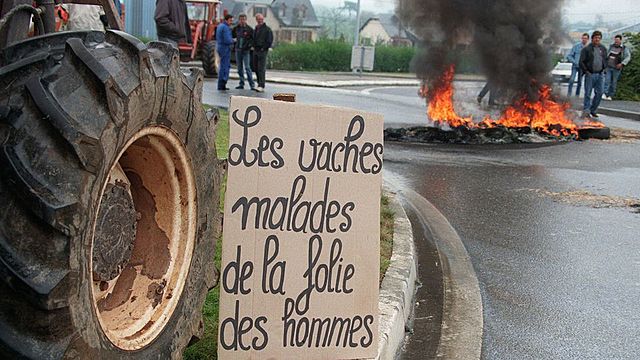 La crise de la vache folle