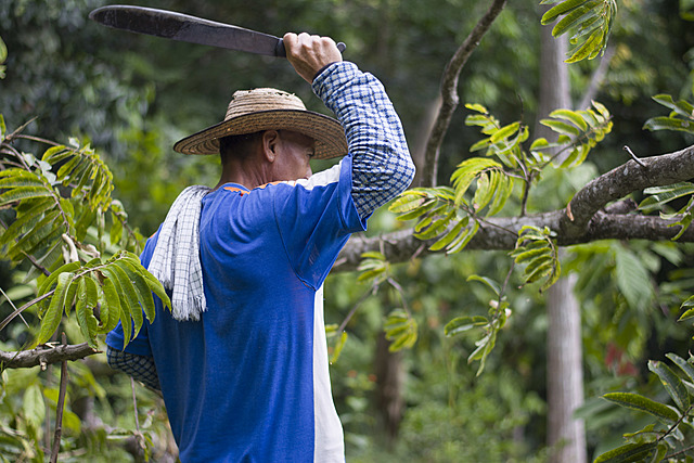 Entre ires y venires. Proceso de colonización del territorio