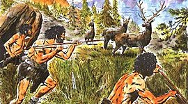 Timeline: época aborigen