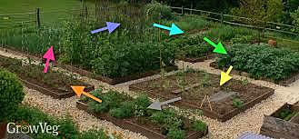 Crop Rotation