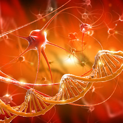 Timeline: Teoría clular