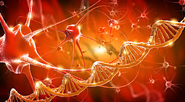 Timeline: Teoría clular