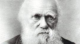 Timeline: La vida de Darwin