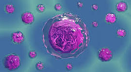 Timeline: TEORÍA CELULAR