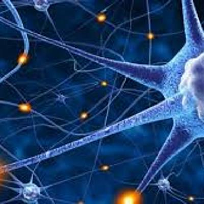 Timeline: TEORÍA CELULAR