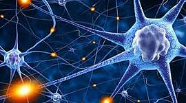 Timeline: TEORÍA CELULAR