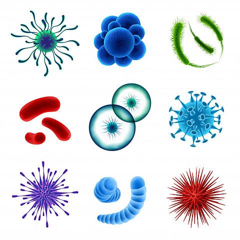 Anthony Van LeeuWenhoek