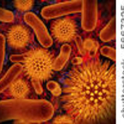 Timeline: Teoria Celular