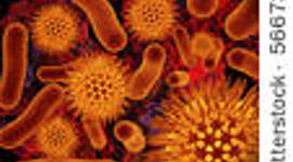 Timeline: Teoria Celular