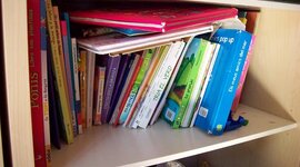 Timeline: Estada a l'Escola Dalmau Carles