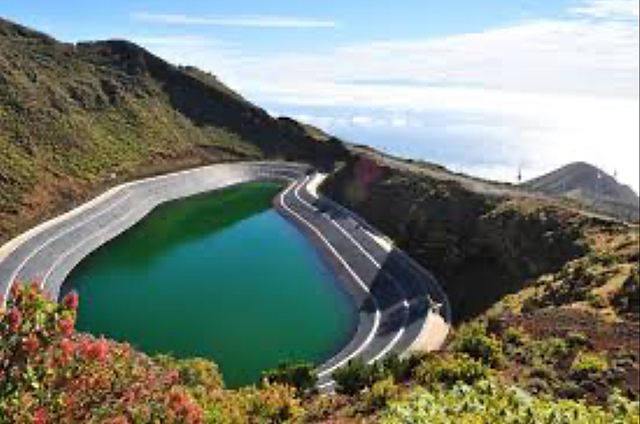 Founding of Consortium