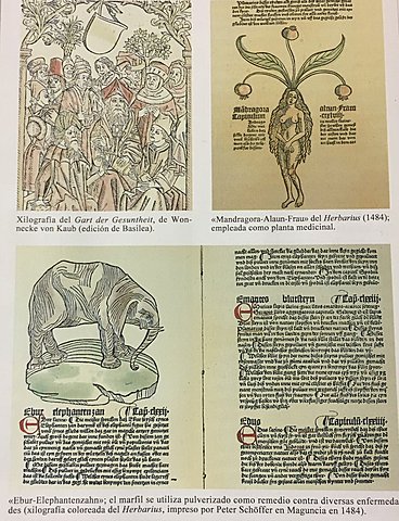 Calendario de sangrías y laxantes