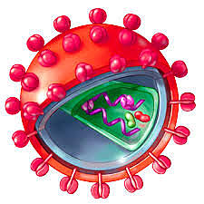 En France et aux États-Unis, le virus du Sida est identifié