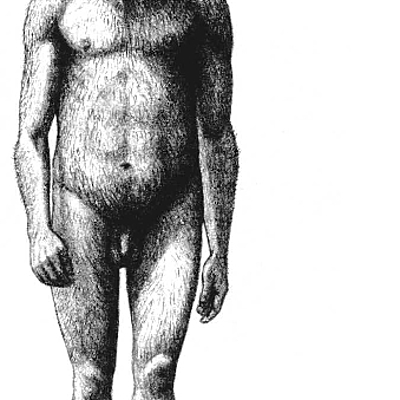 Timeline: La homolización