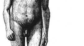 Timeline: La homolización