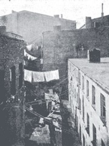 "How The Other Half Lives"