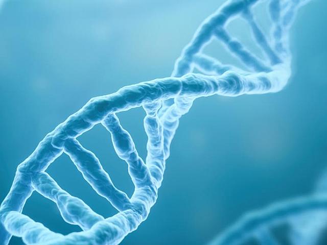 James Watson y Francis Crick publicaron el modelo del ADN.