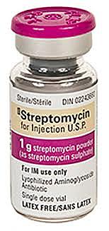 Selman Abraham Waksmann obtuvo la estreptomicina, primer remedio eficaz frente a la tuberculosis.