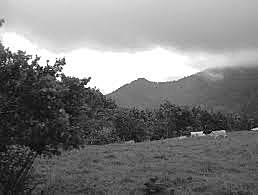 inicia colonización de la zona rural