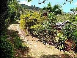 inicia la construcción de las carreteras.