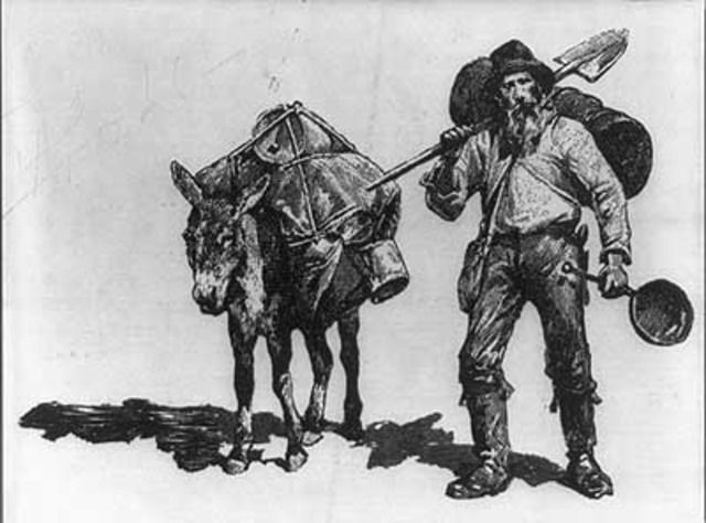 Gold was discovered in Colorado