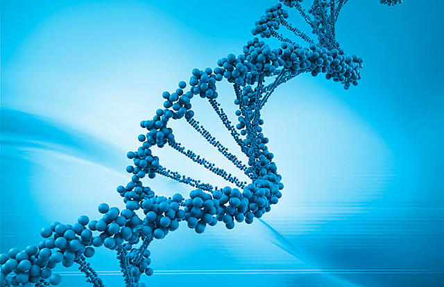 Patología molecular