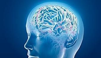 Berger registró por primera vez la actividad eléctrica del cerebro.