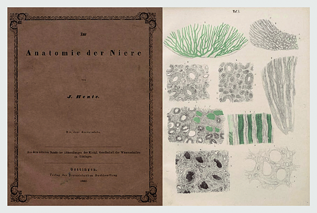 Friederich Gustav Jakob Henle