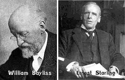 William Bayliss y Ernest Henry Starling