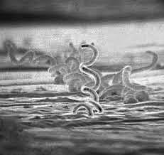 Mercurio como tratamiento