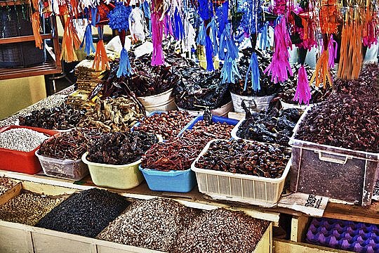 El mercado mas grande!