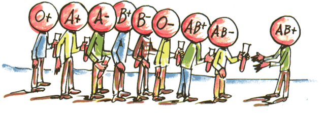 OS GRUPOS SANGUÍNEOS