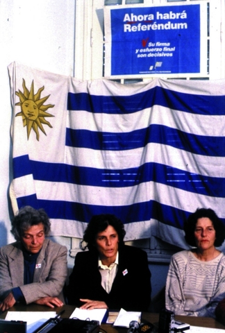 Referéndum para anular la ley