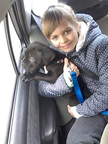 כלב אהוב שלי