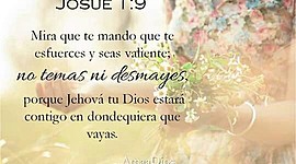 Timeline: MI LINEA DEL TIEMPO ✨