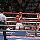 240px floyd mayweather, jr. vs. juan manuel márquez