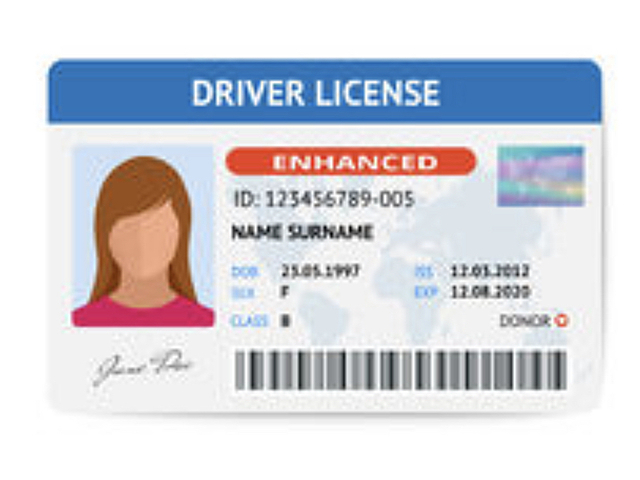 Lleno Licencia de conductir